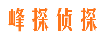 兰山市婚姻调查